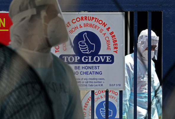 71606202413_topglove