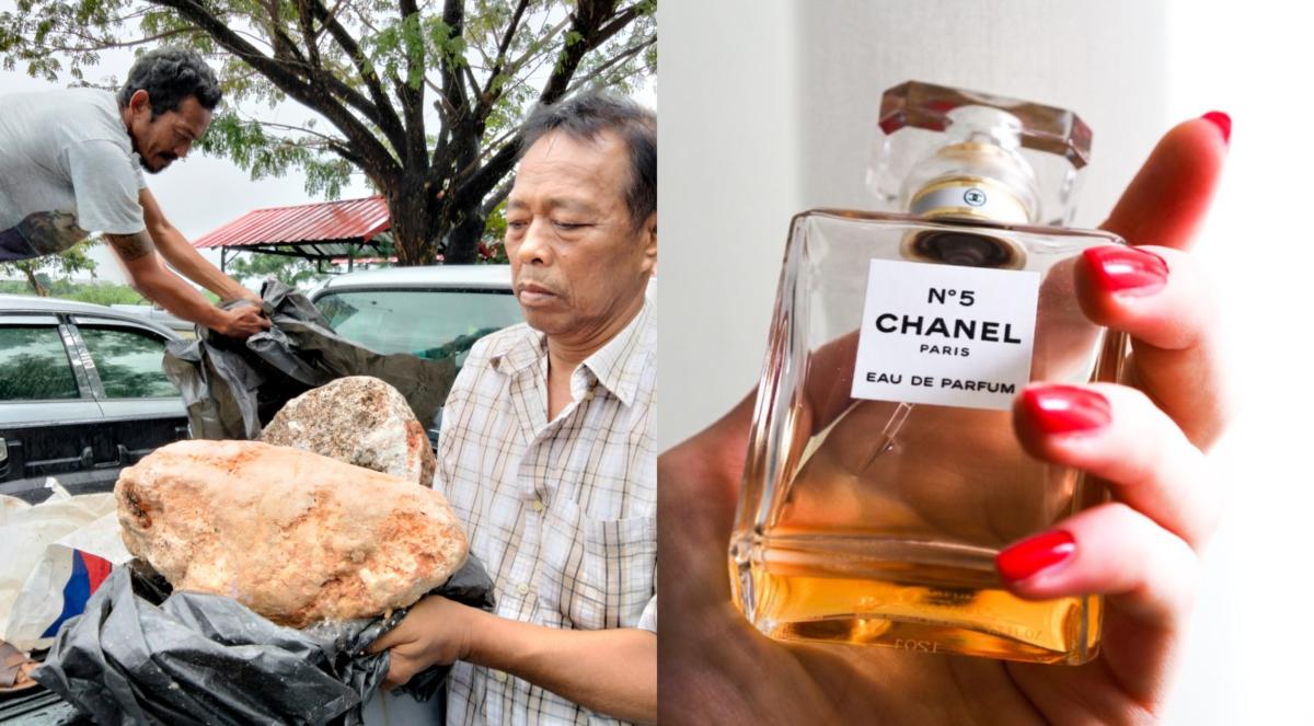 chanel no5