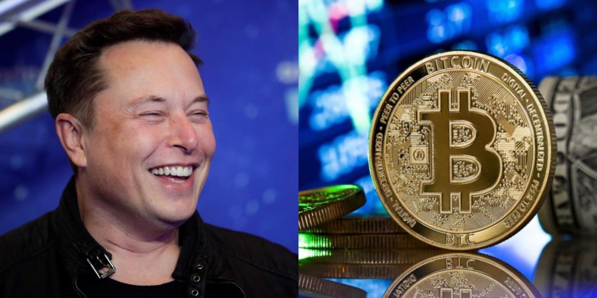 Elon bitcoin