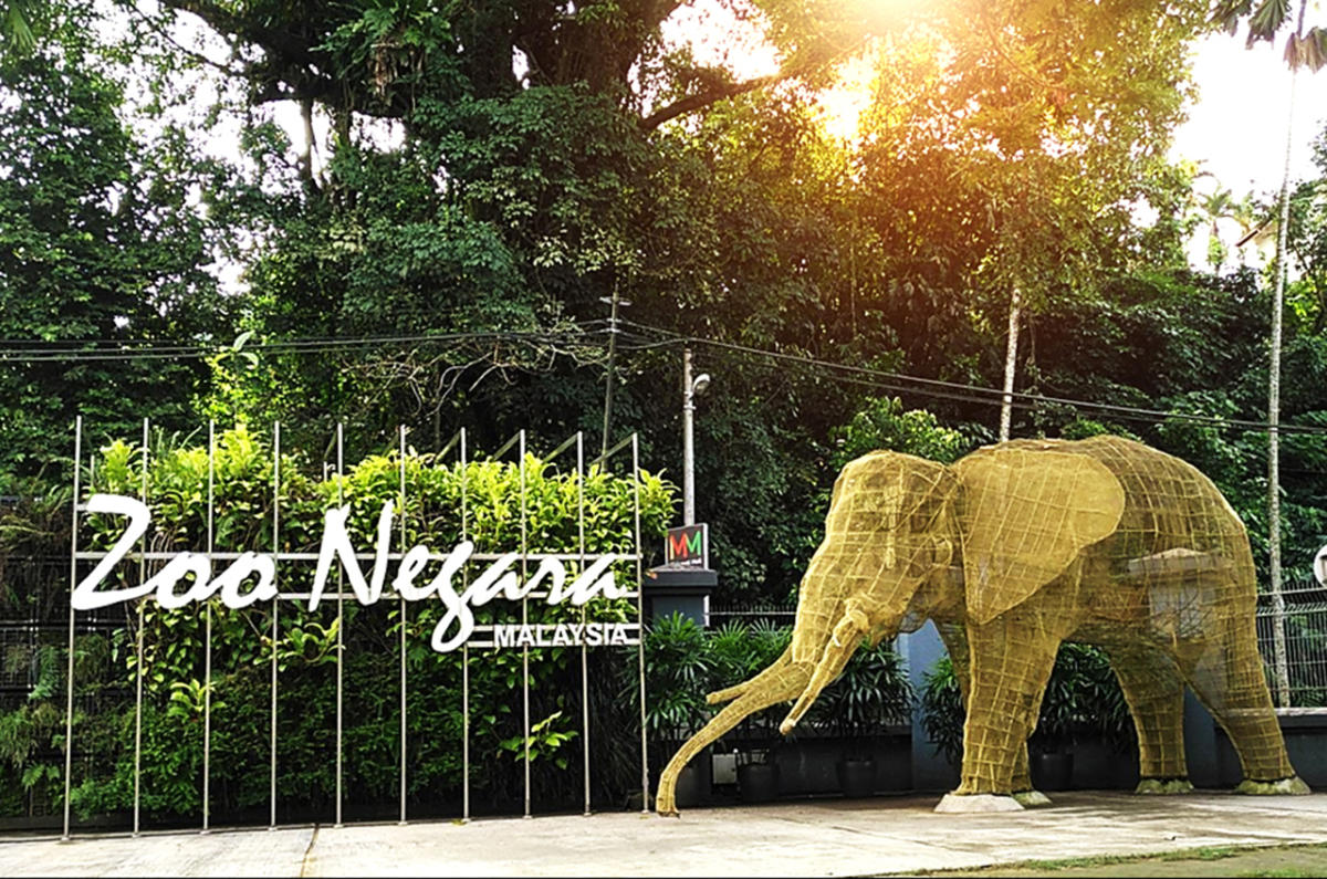 zoo-negara-seeking-donations