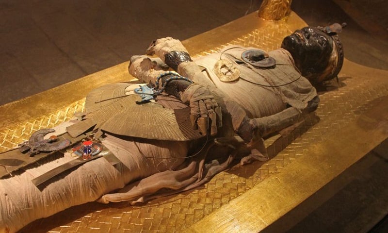 dailysun_mummy