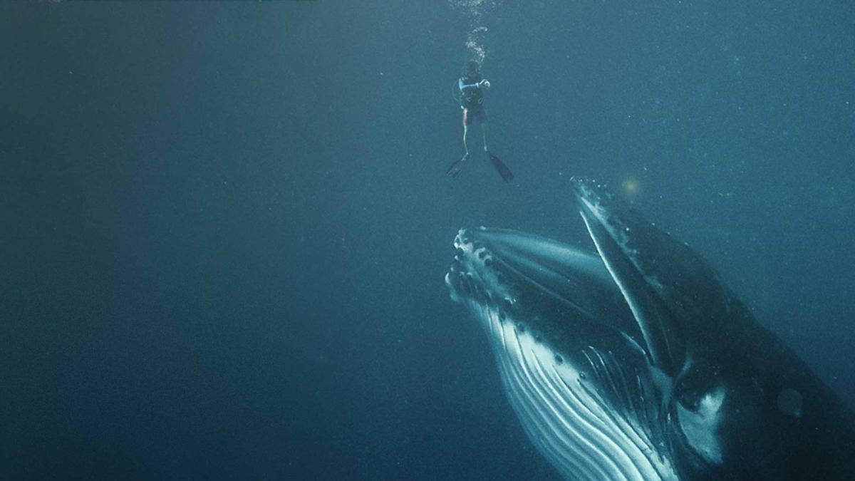 Swallowed-by-a-whale-2