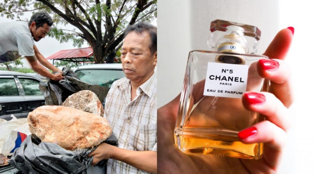 chanel no5