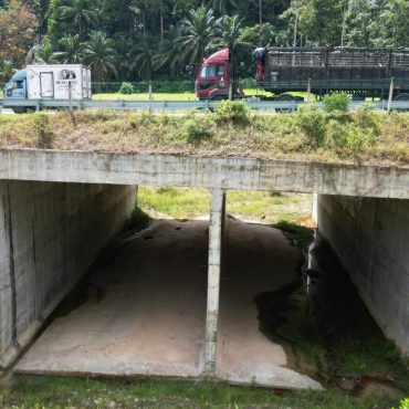 KKR Akan Pastikan 'Terowong Hidupan Liar' Masuk Dalam Rekaan Jalan, Lebuh Raya Baharu
