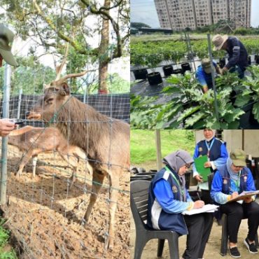 97.9% Ladang Diusahakan Individu, Majoriti Berumur 60 ke atas – Ini Fakta Menarik Banci Pertanian 2024