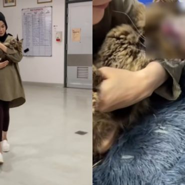 ‘Kasihan Fara Kena Bawa Tiger Ke Mana-Mana Dalam Keadaan Sarat’