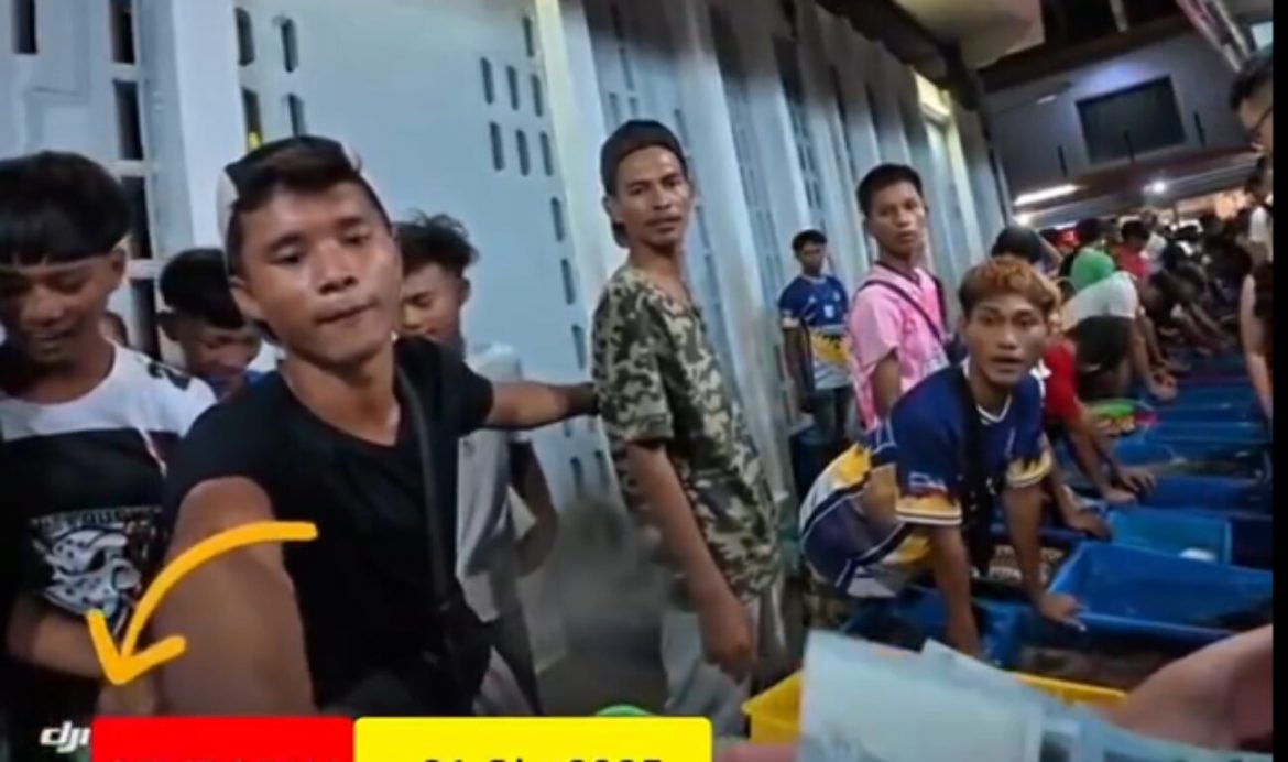 'Buat Malu Orang Sabah', Netizen Bangang Peniaga Lobster Di Semporna 'Kantoi' Tipu Pelancong China