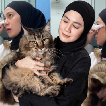Fara Salleh Sedih Baca Kisah Kucing FIP, Kongsi Pengalaman Berhabis RM16,000 Untuk Tiger