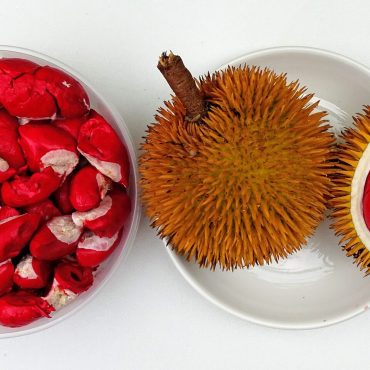 Durian Merah Bakal Jadi 'Benda Besar' Di Sabah