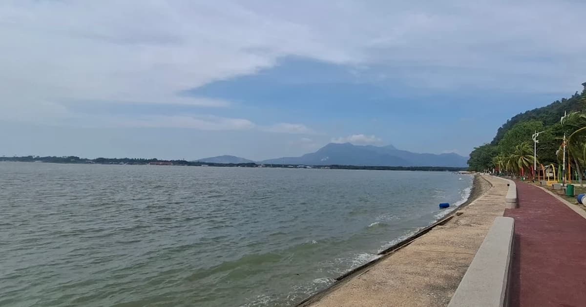 Background