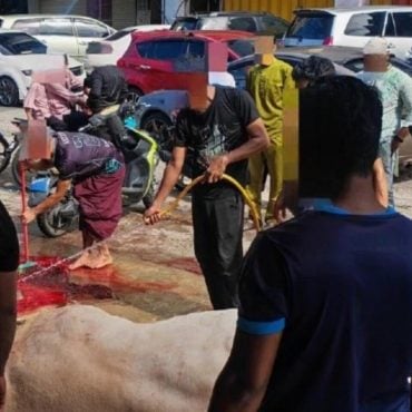 Mampu Korban 70 Ekor Lembu Bernilai Lebih RM700,000, Netizen Persoal 'Kekayaan Misteri' Pelarian Rohingya