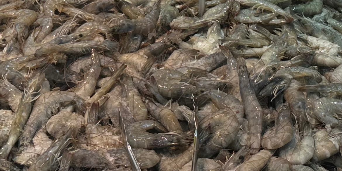 Isu Sekatan Udang: Thailand Mula 'Panas' Dan Sedia Lapor Malaysia Ke WTO Dan ASEAN