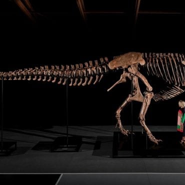 10 Minit Pembidaan Sengit, Fosil T. rex 'Gus' Berusia 67 Juta Tahun Terjual Lebih RM200 Juta