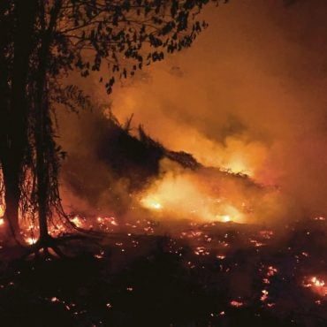 Tangkap 72 Suspek, Polis Indonesia Mula Semak Akaun Bank Jejak Syarikat Yang Upah 'Bakar Hutan'
