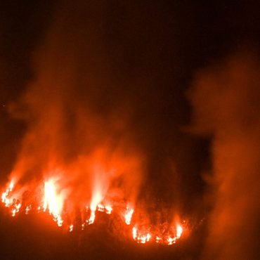 107,000 Hektar Kawasan Hutan Terbakar: 'Tiada Negara Jiran Lapor Terjejas Jerebu' – Indonesia
