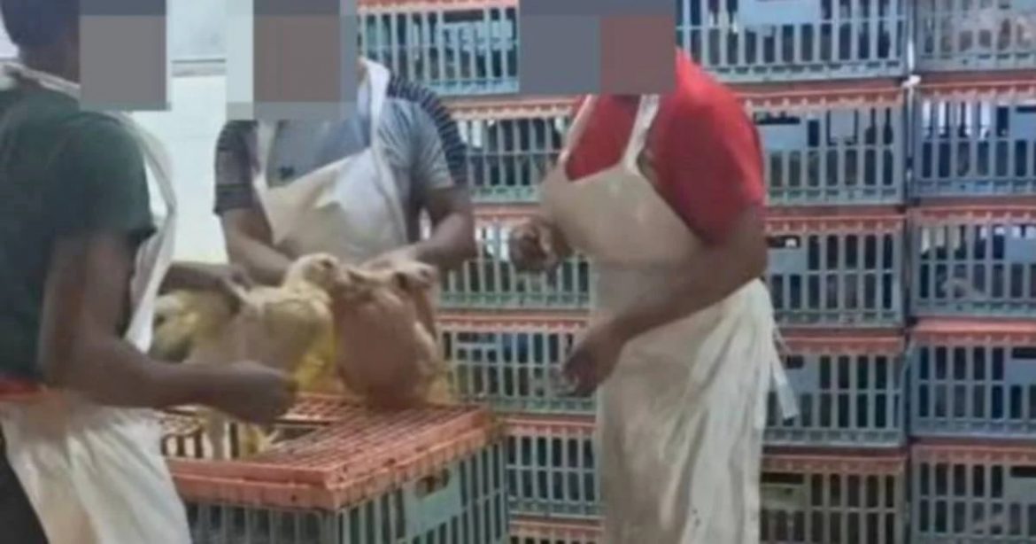 Kecoh Isu Sembelihan Ayam Di Pudu Timbul Keraguan, JAKIM Sahkan Premis Tiada Sijil Halal